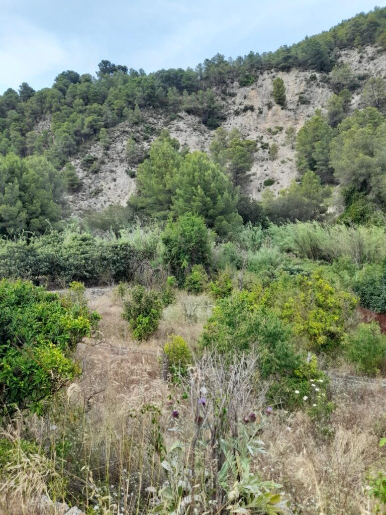 2204794011724-13.jpg