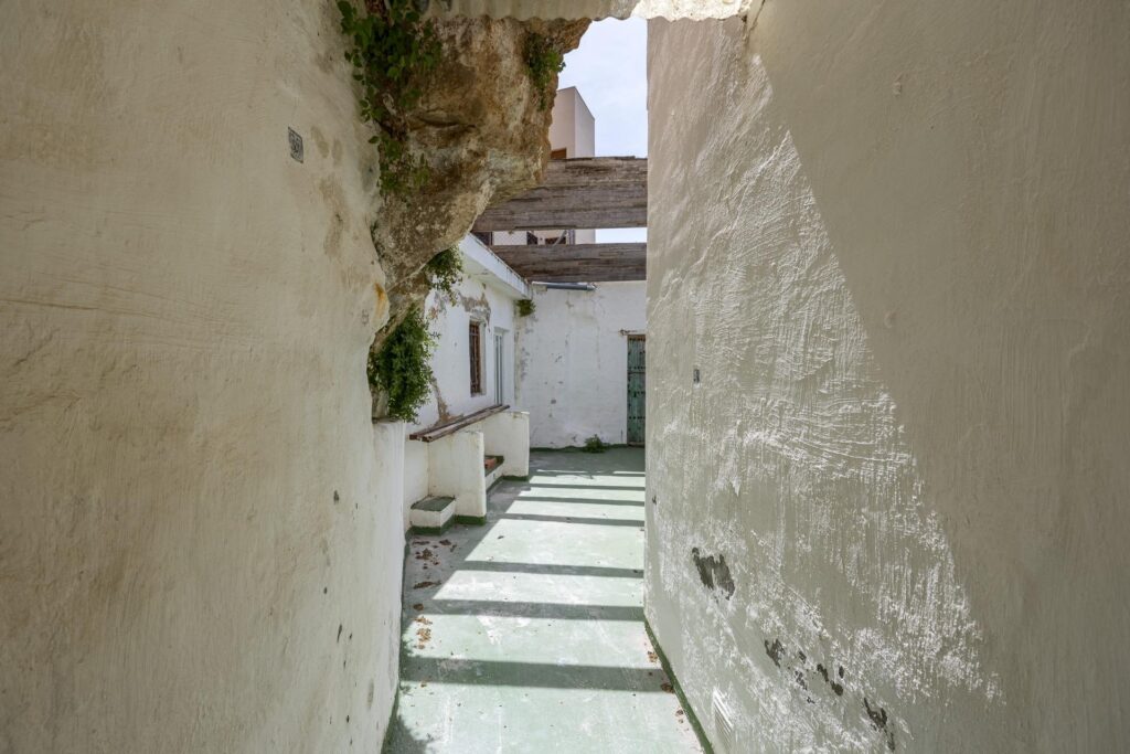 2897870311724-66.jpg